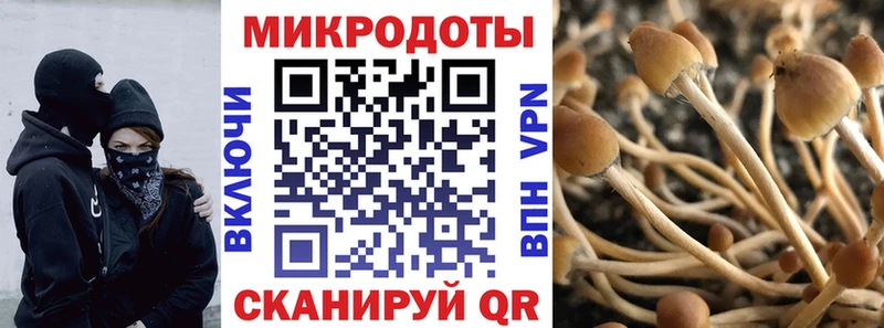 Галлюциногенные грибы Psilocybe  нарко площадка как зайти  Анива  купить наркотик 